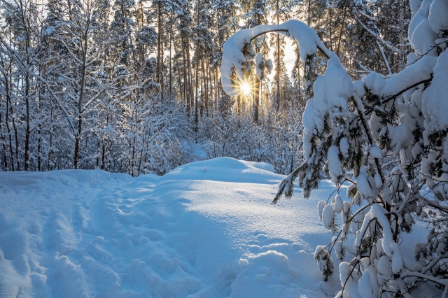 Межмуниципальный фотоконкурс «Зимний русский лес»